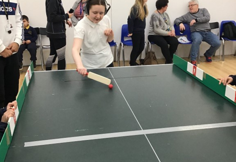 Table Cricket (3)